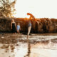 How much is a family photoshoot on the Sunshine Coast?