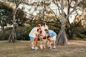 5 Dog-Friendly Beaches on the Sunshine Coast for Family Photos