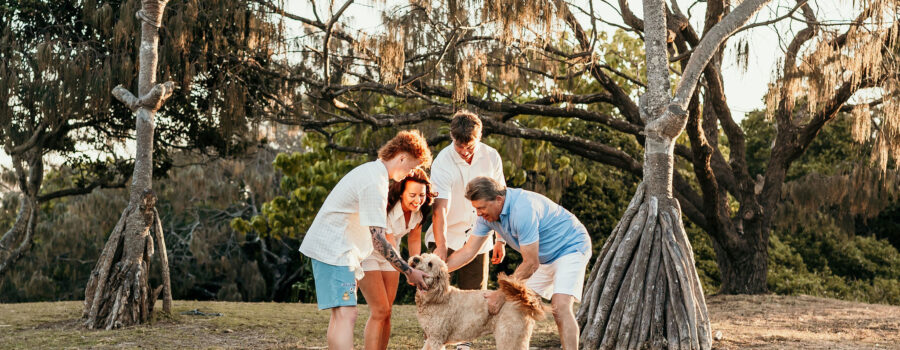 5 Dog-Friendly Beaches on the Sunshine Coast for Family Photos