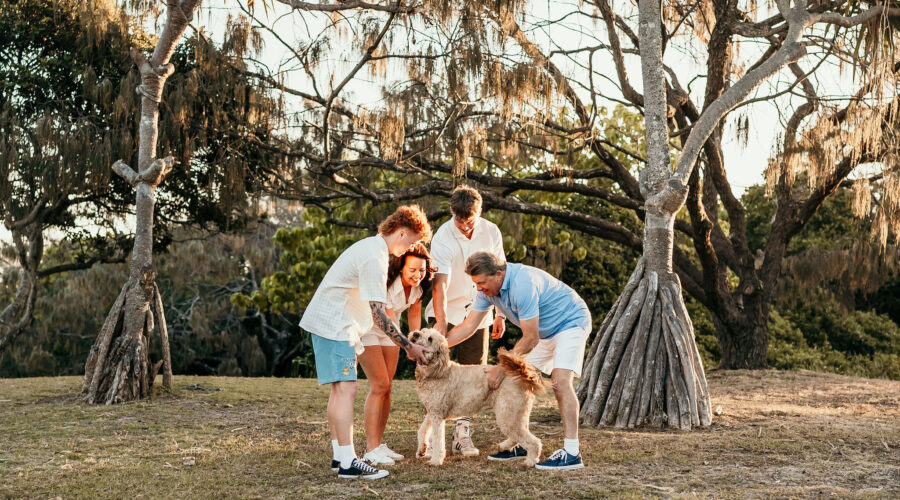 5 Dog-Friendly Beaches on the Sunshine Coast for Family Photos